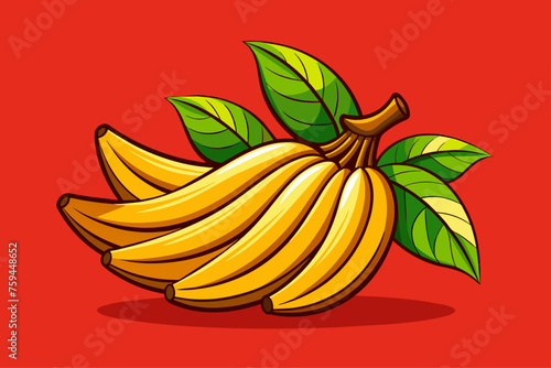 plantain fruit background