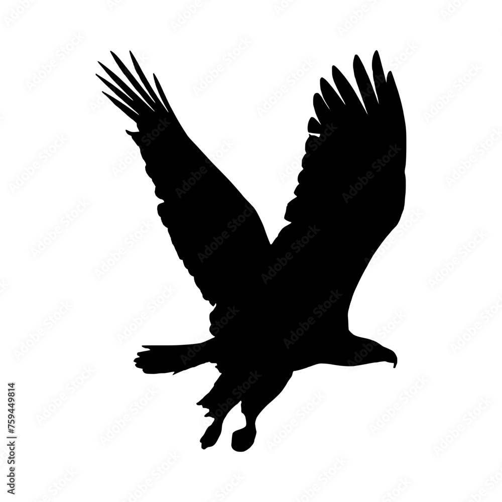 Eagle silhouette Eagle silhouette