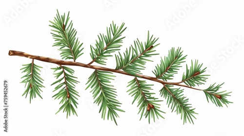 This is the flat modern illustration of a green tree branch with evergreen needles. An evergreen conifer twig with needles. A winter sprig. A natural decoration for the Christmas holiday. Botanical