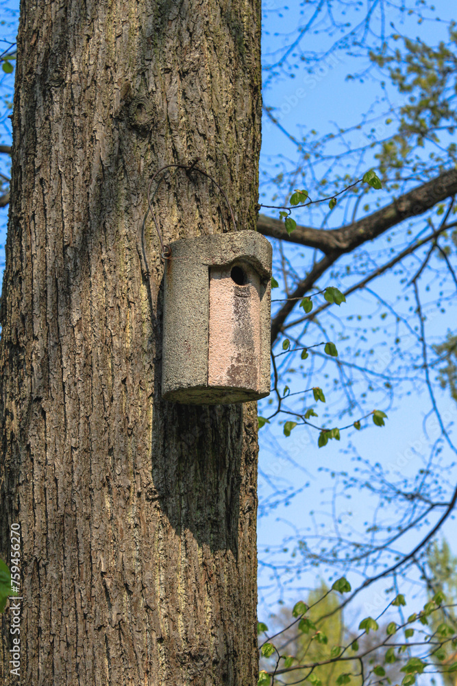 A rustic wooden nest box, providing a safe haven for birds. Handmade and hanging on a tree, it's a symbol of bird conservation and care in a natural environment. A rustic wooden nest box, providing a safe haven for birds. Handmade and hanging on a tree, it's a symbol of bird conservation and care in a natural environment.