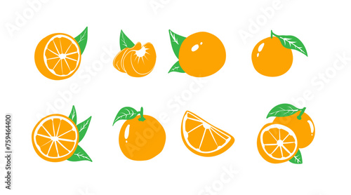 collection of vector illustrations of orange fruit
