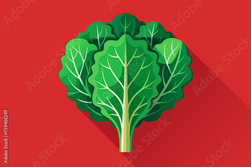 kale vegetable background