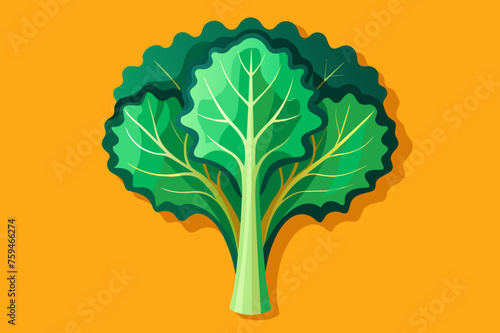 kale vegetable background