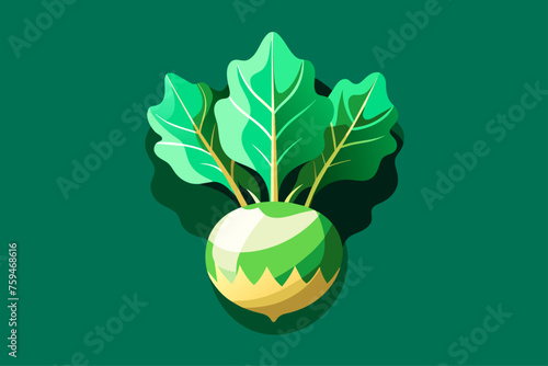 A background of kohlrabi vegetables, bright and colorful, showcasing their unique shape and texture.