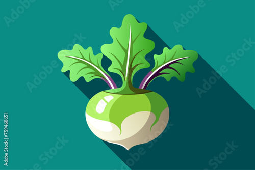 A background of kohlrabi vegetables, bright and colorful, showcasing their unique shape and texture.