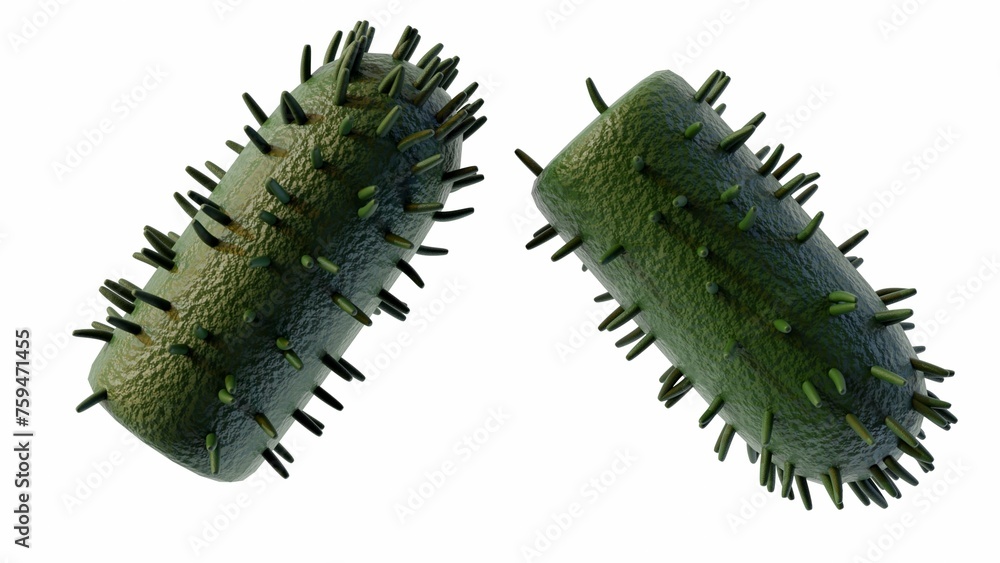 Naklejka premium 3d rendering of lyssavirus cause fatal acute viral encephalomyelitis known as rabies.