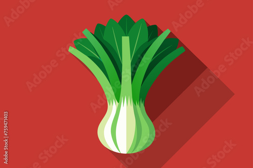 leek vegetable background