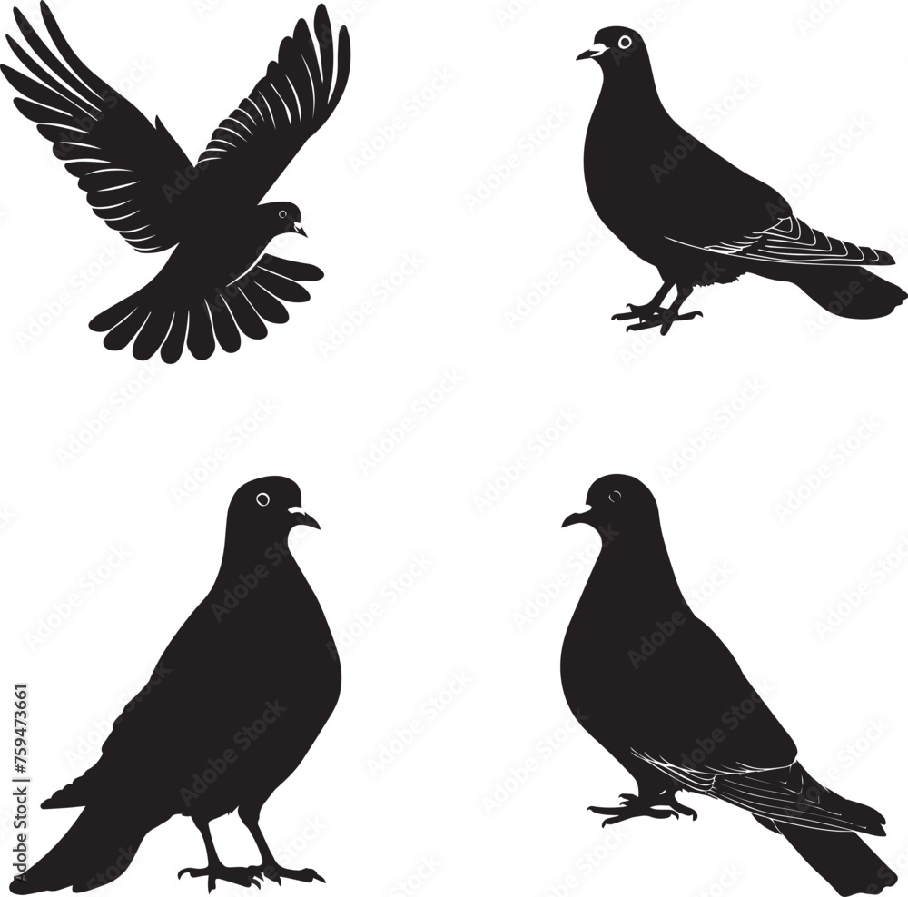 Fototapeta premium Set of Dove birds Black Silhouette 