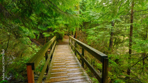Fotografi Wooden footbridge over stream on Woodhaven Swamp forest trail, BC, on a rainy day