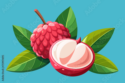 Lychee fruit background with fresh lychee fruit on a white background.
