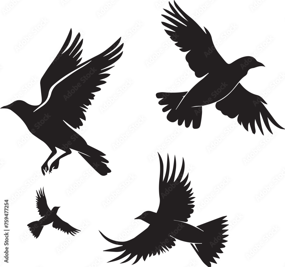 Fototapeta premium Set of Black Silhouette Birds flying