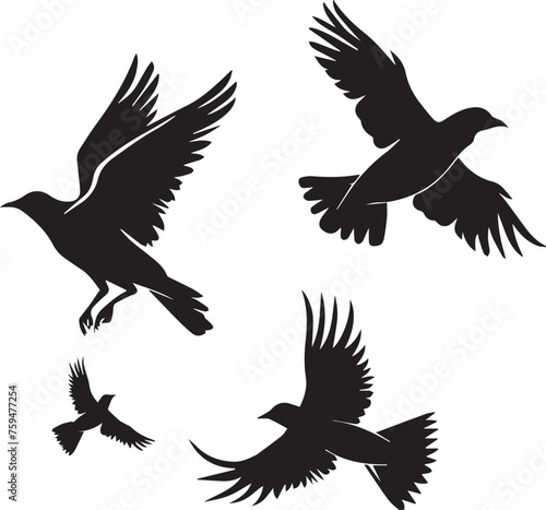 Set of Black Silhouette Birds flying  © Qurban Vector & Ai