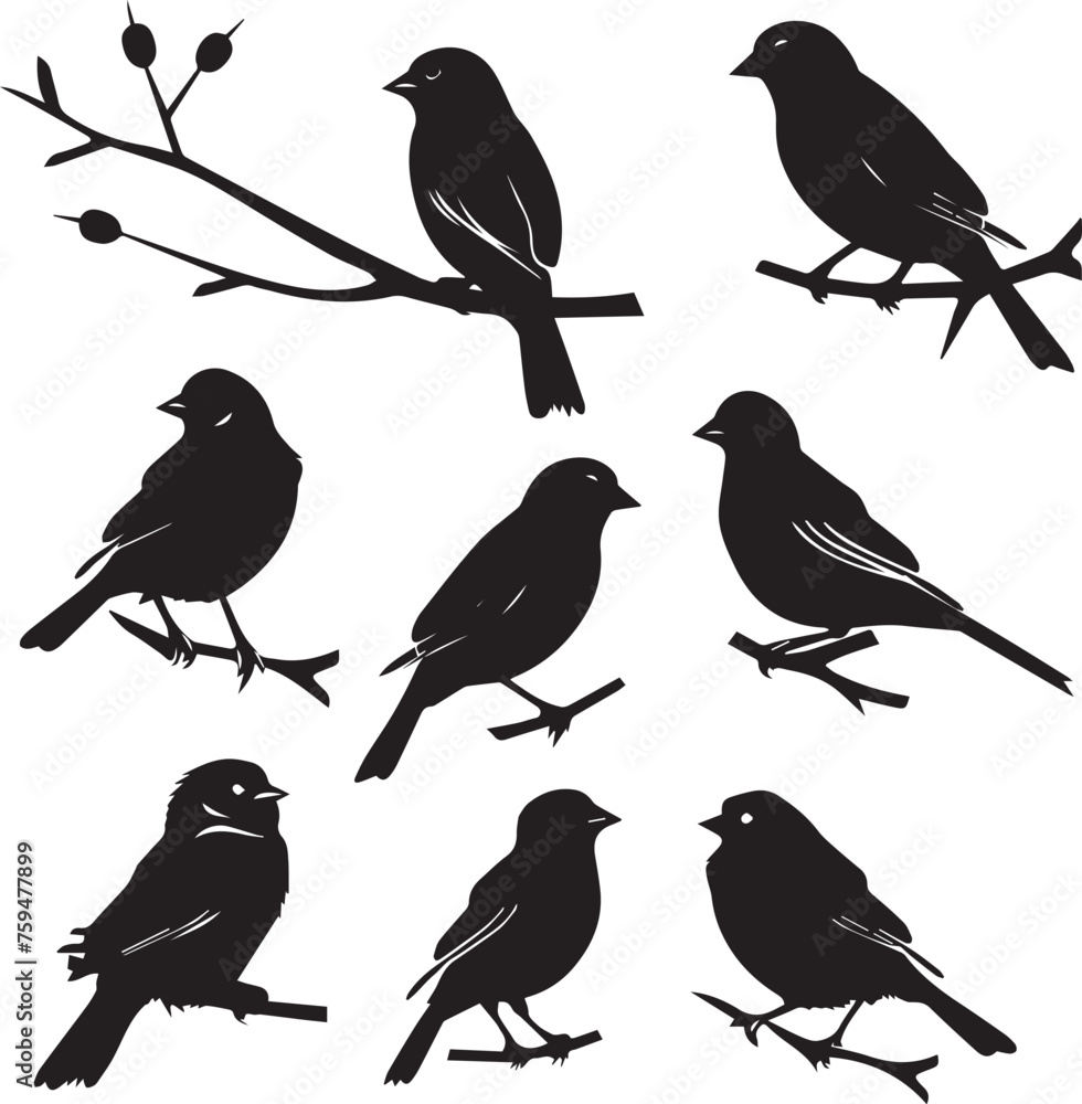 Set of Silhouette birds on a tree branch on white background Set of Silhouette birds on a tree branch on white background