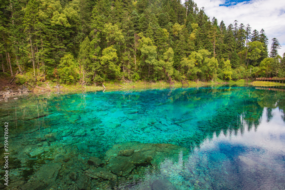 Beautiful view of clear lake at Pearl Beach in Jiuzhaigou, Sichuan, China Beautiful view of clear lake at Pearl Beach in Jiuzhaigou, Sichuan, China