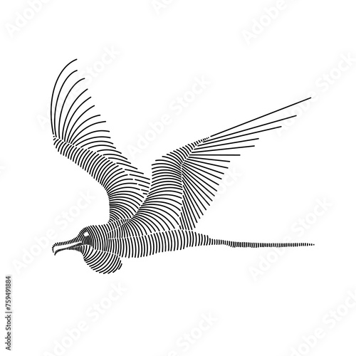 Simple line art illustration of a frigatebird 2