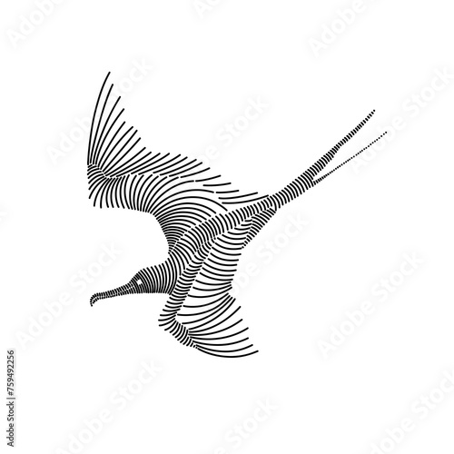 Simple line art illustration of a frigatebird 3
