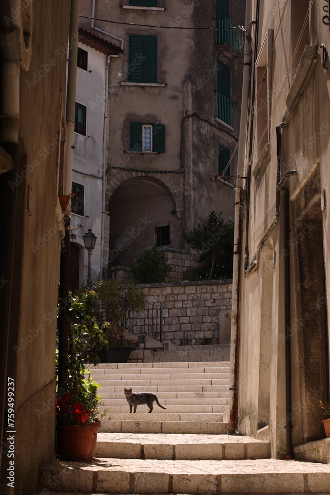 Fototapeta premium cusano mutri, benevento, italy