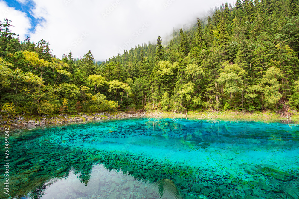 Beautiful view of clear lake at Pearl Beach in Jiuzhaigou, Sichuan, China Beautiful view of clear lake at Pearl Beach in Jiuzhaigou, Sichuan, China