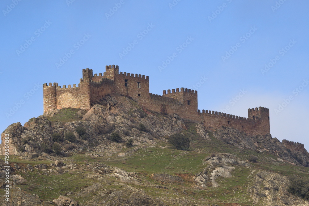 view of the riba de santiuste castle