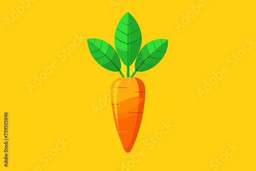 carrots vegetable background