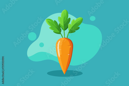 carrots vegetable background