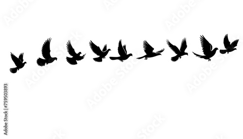 dove birds or pigeons group flight silhouette horizontal  vector illustration on white background