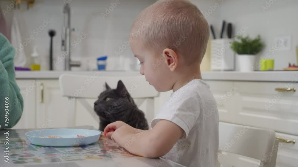 mother with child and cat eating boiled shrimp at the dining table in the kitchen together. Cat with his family sits at the table during lunch and eats human food mother with child and cat eating boiled shrimp at the dining table in the kitchen together. Cat with his family sits at the table during lunch and eats human food