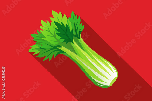 celery vegetable background