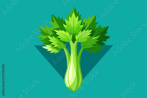 celery vegetable background