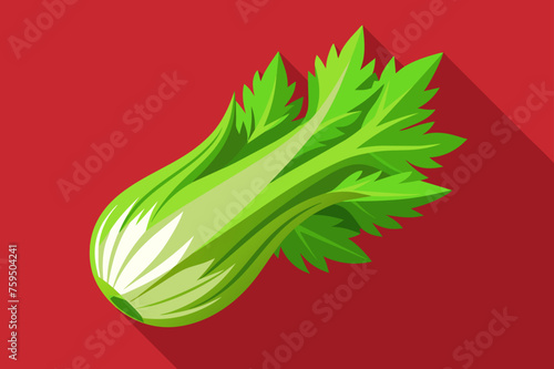 celery vegetable background