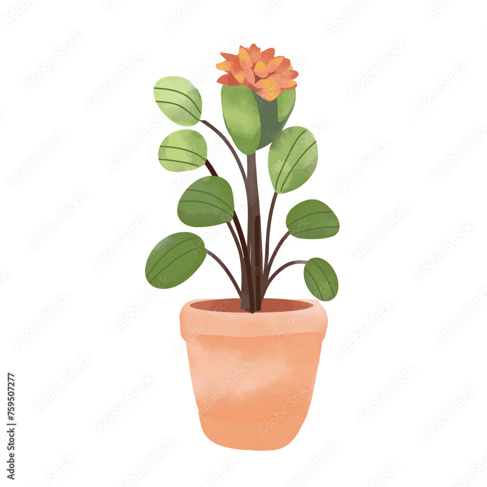 Flower in house plant pot isolated on white background. Hand drawn vector illustration. Flower in house plant pot isolated on white background. Hand drawn vector illustration.