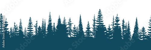Coniferous forest, seamless border, isolated on white background	