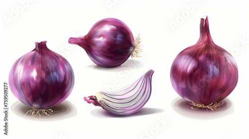 Ripe raw realistic red onion vegetable. 