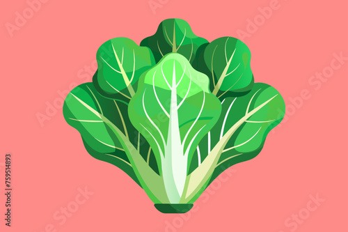 escarole vegetable background
