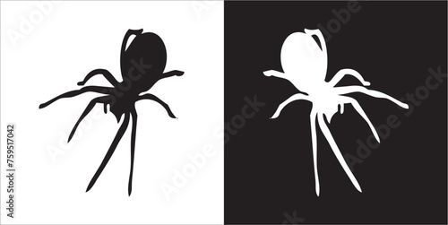 Illustration vector graphics of spider icon