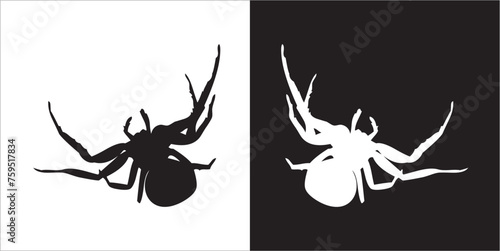 Illustration vector graphics of spider icon