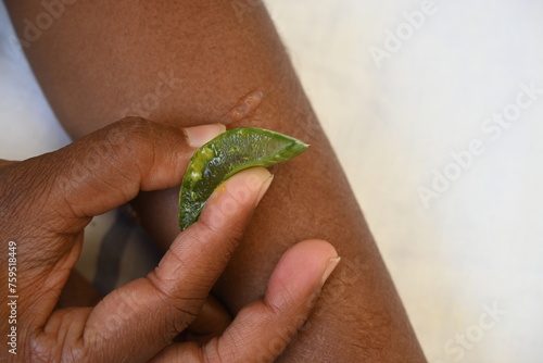 Moisturizing hands with aloe vera natural gel. Aloe Vera homemade face and body scrub recipe. Human Hand  applies aloe vera gel on a skin. Ayurvedic medicine.