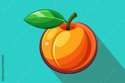 apricot fruit background is