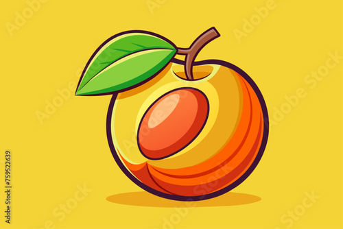 apricot fruit background is