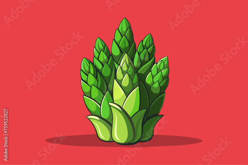 asparagus vegetable background