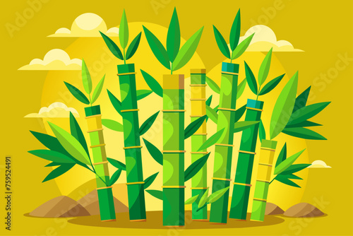 bamboo shoots vegetable background