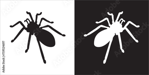 Illustration vector graphics of spider icon