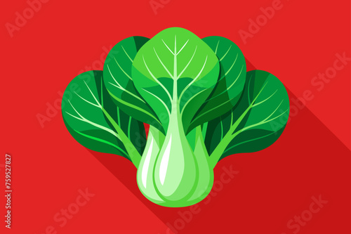 bok choy vegetable background