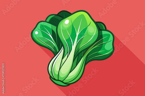bok choy vegetable background