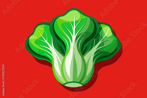 bok choy vegetable background