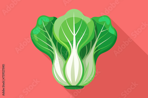 bok choy vegetable background