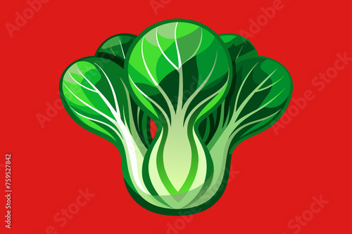 bok choy vegetable background