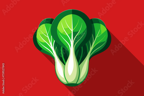 bok choy vegetable background