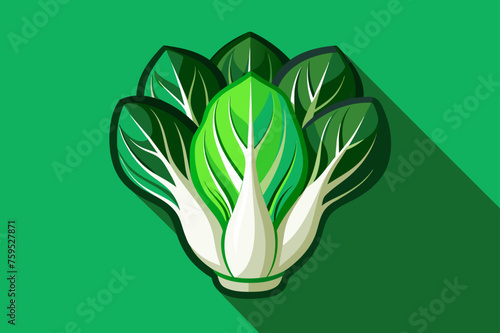 bok choy vegetable background