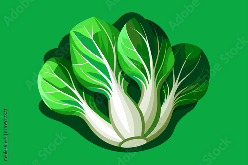 bok choy vegetable background